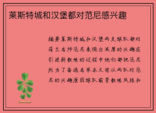 莱斯特城和汉堡都对范尼感兴趣